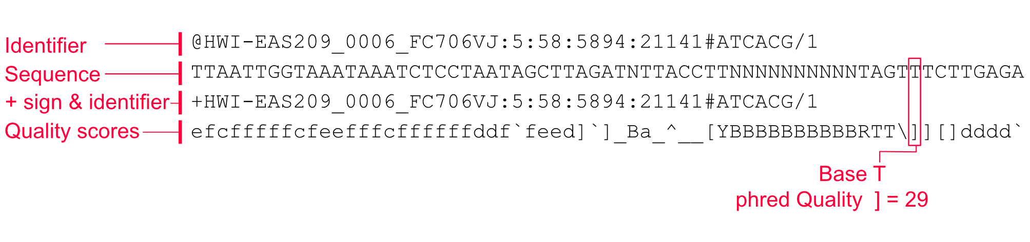 FASTQ format and a brief explanation of each line in the format.