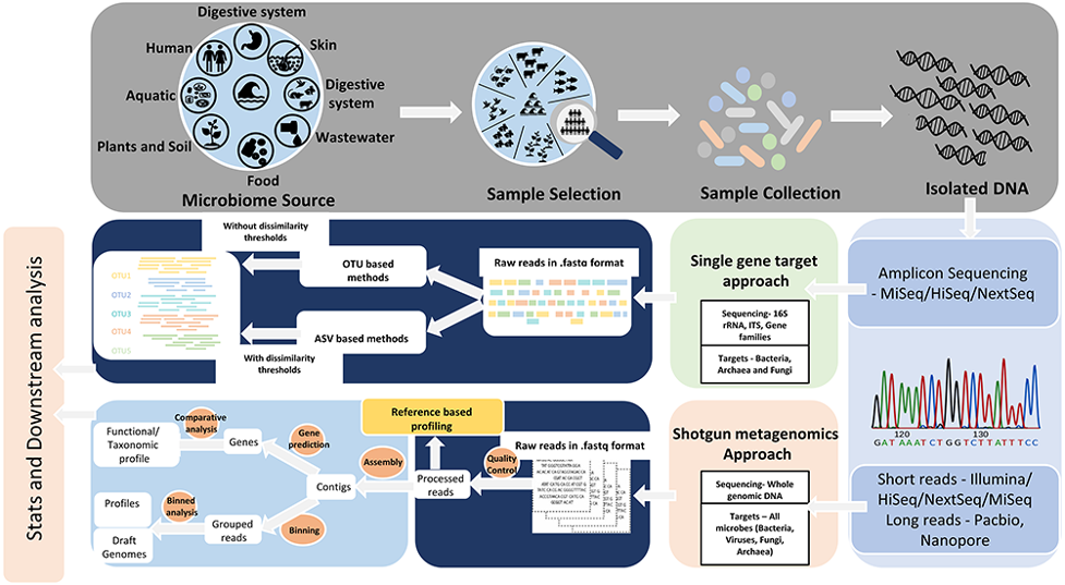 Targeted amplicon and metagenomic sequencing approaches. Ref: Bharti And Grimm (2019) Briefings in Bioinformatics 22(1) doi: 10.1093/bib/bbz155