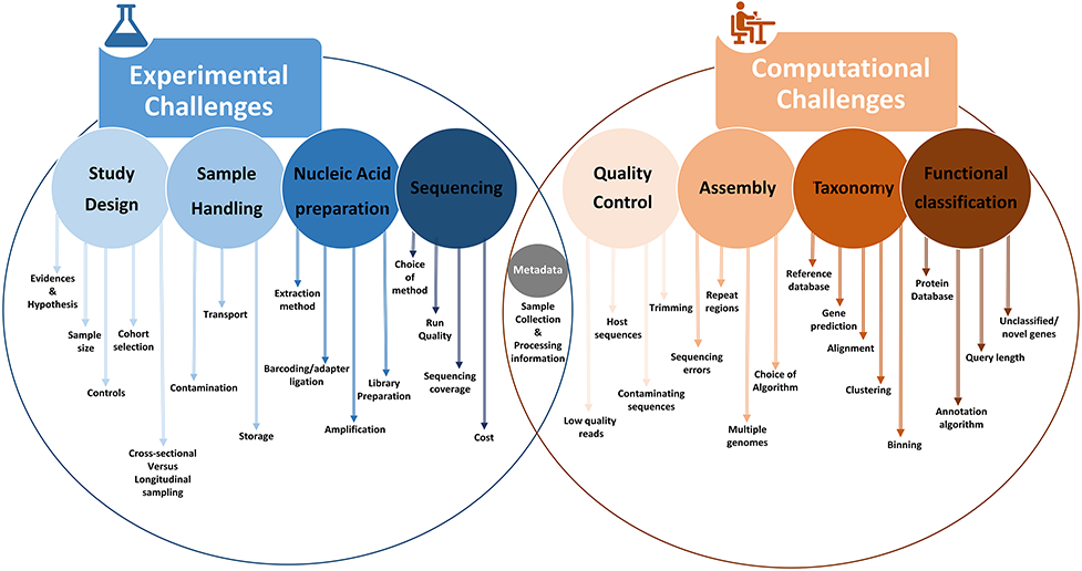 A schematic overview outlining various experimental and computational challenges associated with 16S rRNA-based and shotgun metagenomic sequencing. Ref: Bharti And Grimm (2019) Briefings in Bioinformatics 22(1) doi: 10.1093/bib/bbz155