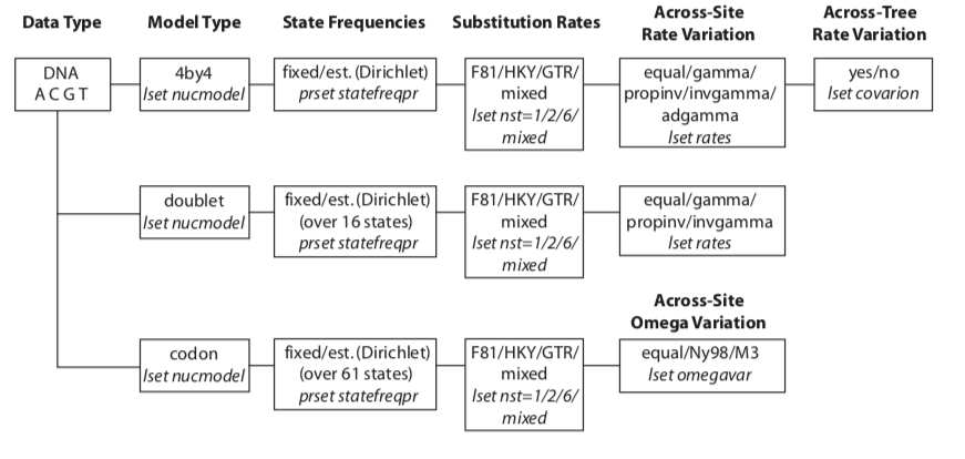 DNA models support by MrBayes v3 (MrBayes Manual p164)