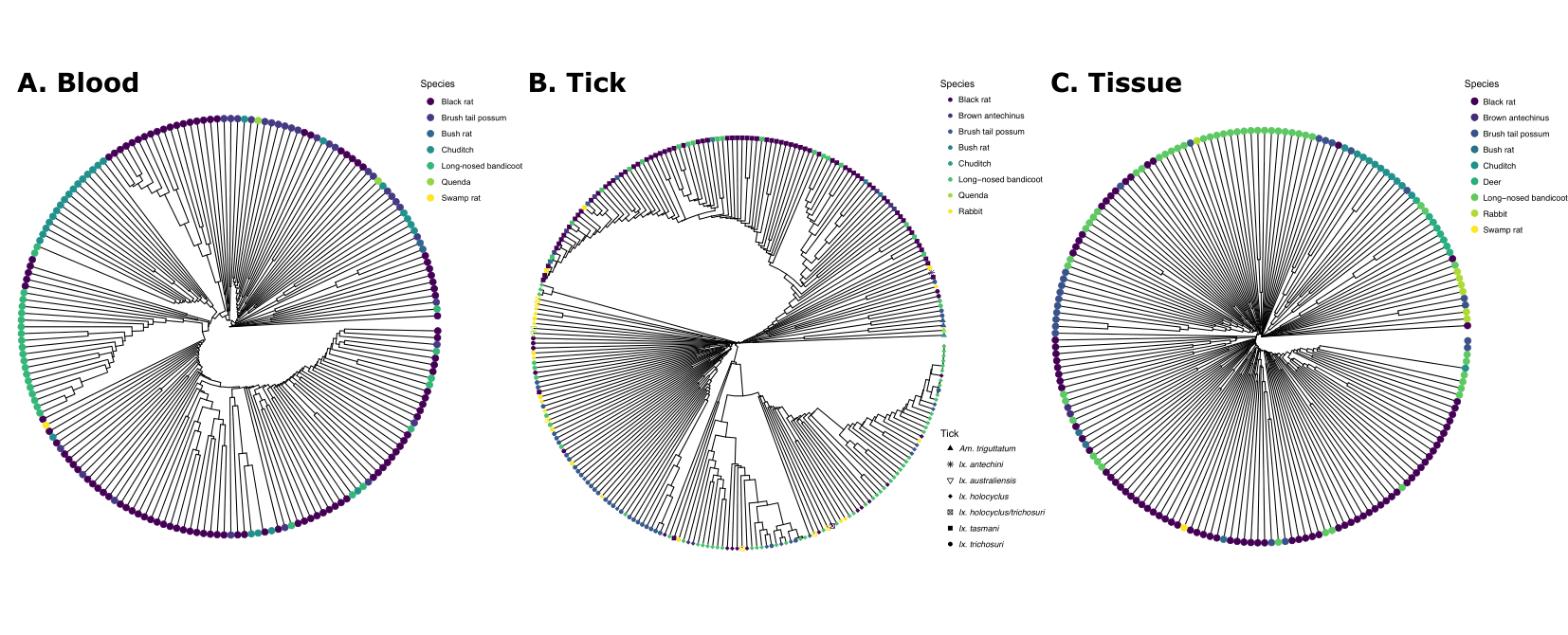 Hierarchical cluster analysis of bacterial communities from wildlife samples, separated by sample types. (A) Blood, (B) Tick, (C) Tissue. Data points coloured by host species (and tick species (B)). Cluster analysis was performed using euclidean distance measure (average), data was transformed using Hellinger transformation.