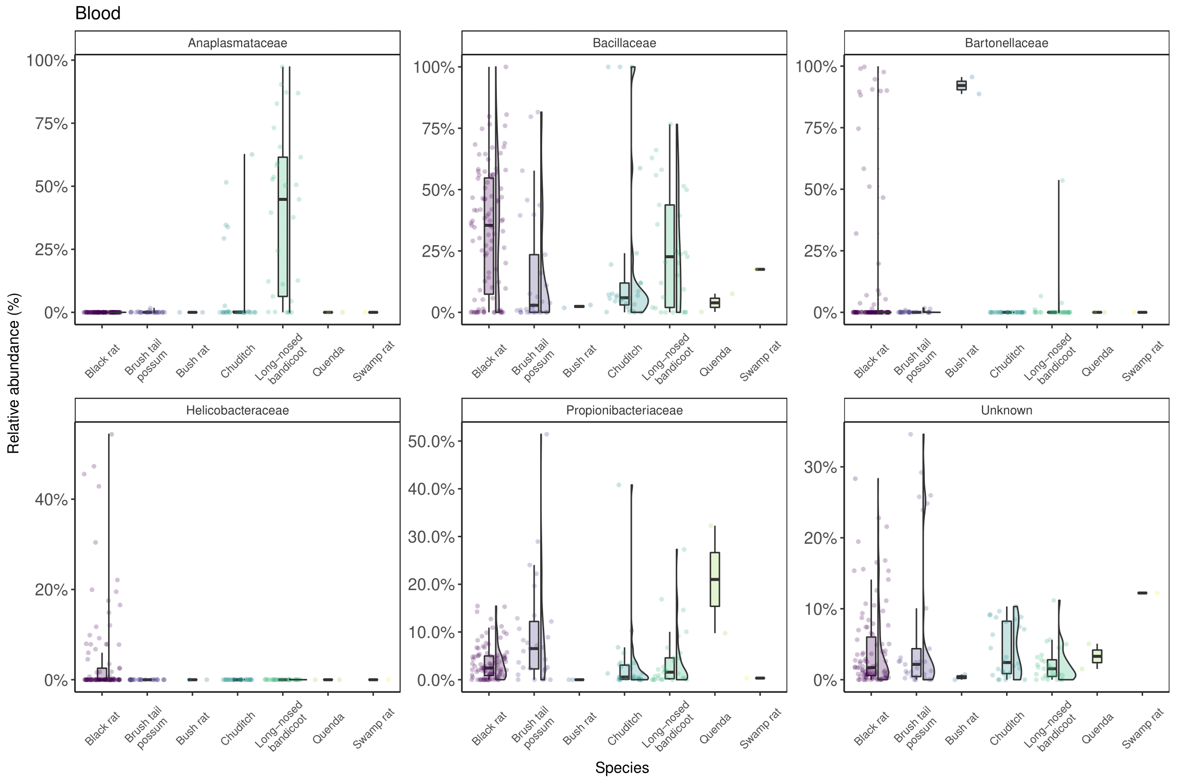 Bacterial family taxa (top 6 most abundant) identified in wildlife blood samples.