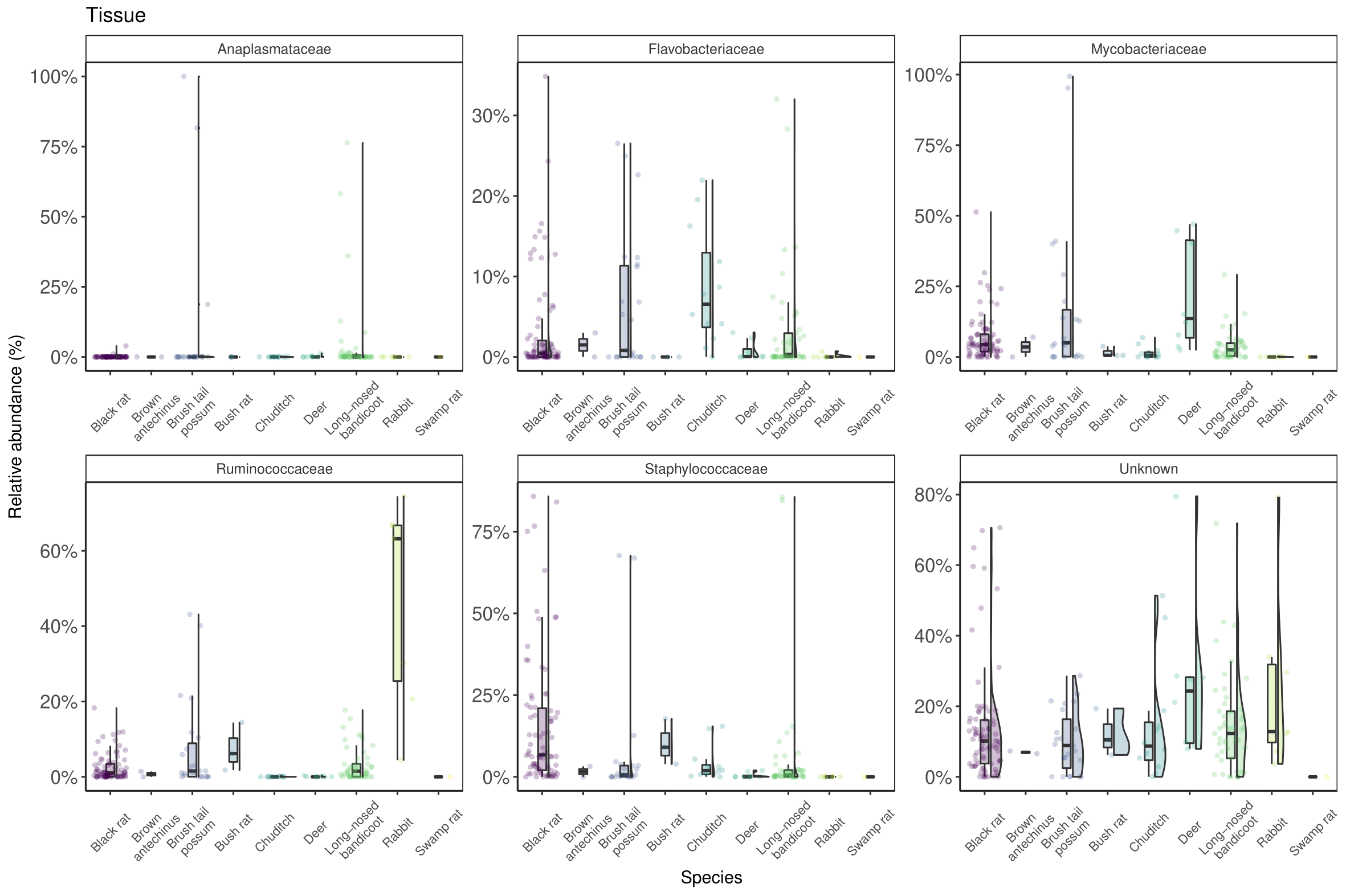 Bacterial family taxa (top 6 most abundant) identified in wildlife tissue samples.