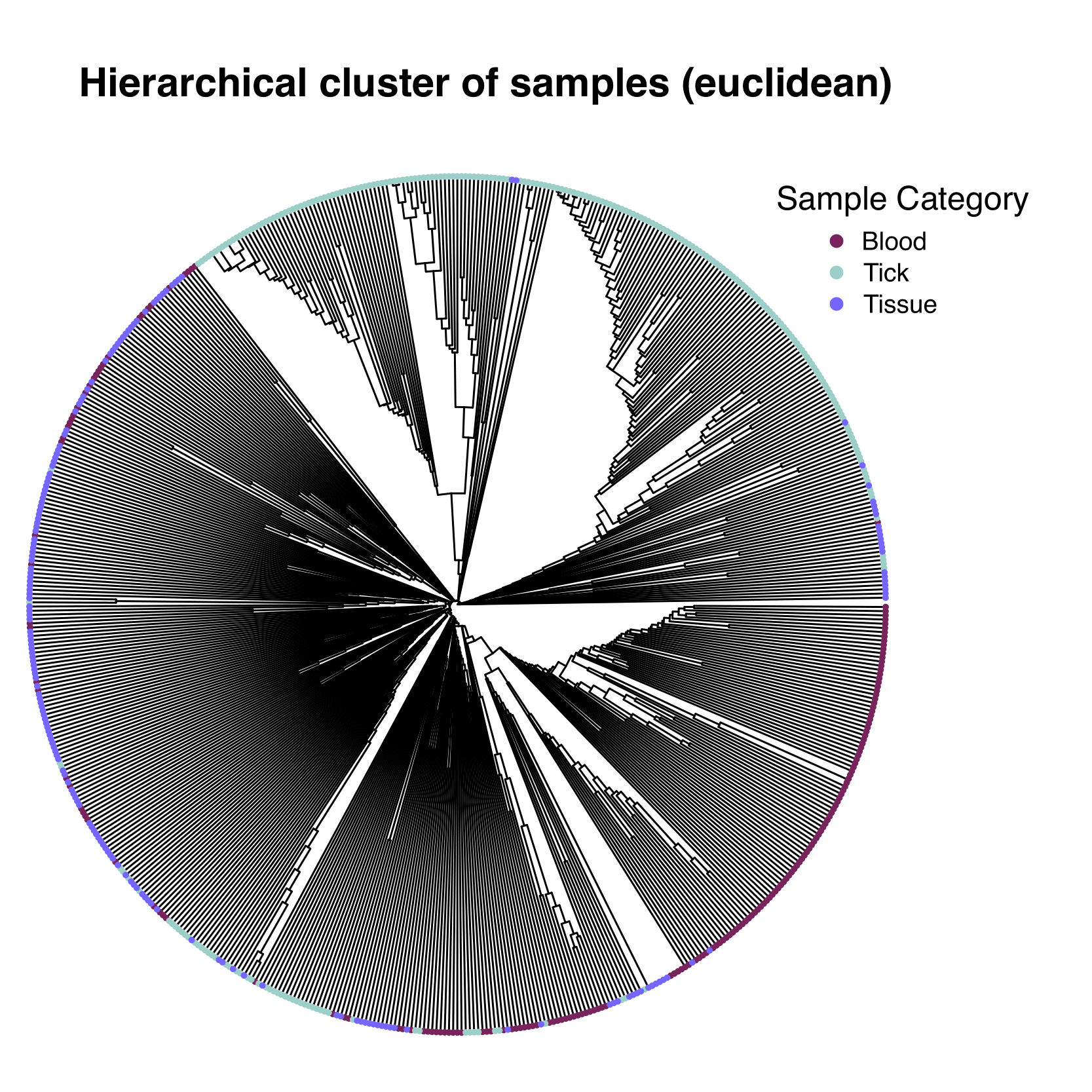 Hierarchical cluster analysis of bacterial communities from wildlife samples. Data points coloured by sample type; blood, tick and tissue. Cluster analysis was performed using euclidean distance measure (average), data was transformed using Hellinger transformation.