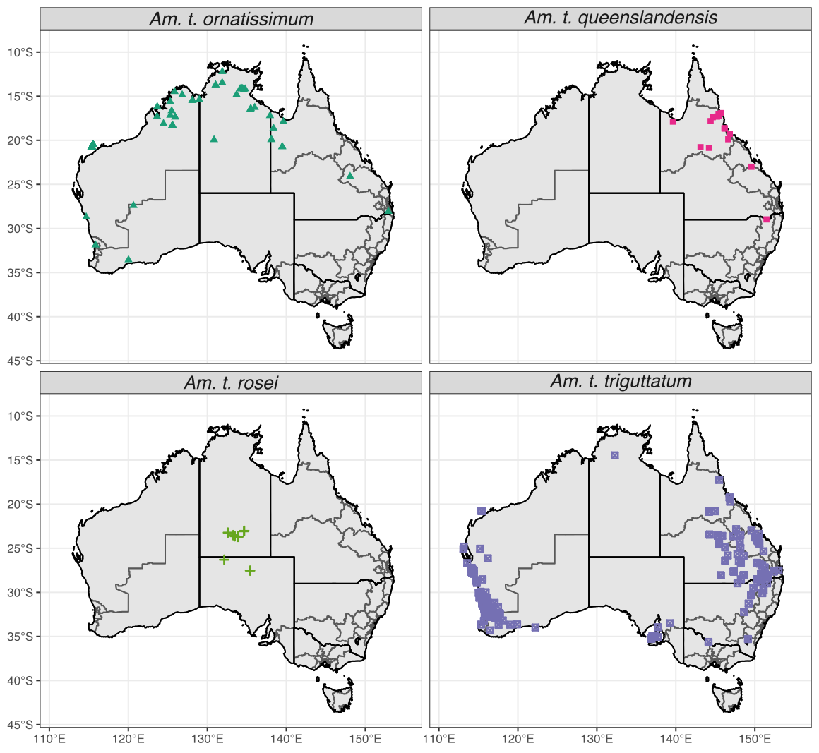 Occurrence map of the four \textit{Amblyomma triguttatum} subspecies recorded in Australia. Only records with a valid subspecies identified are included.