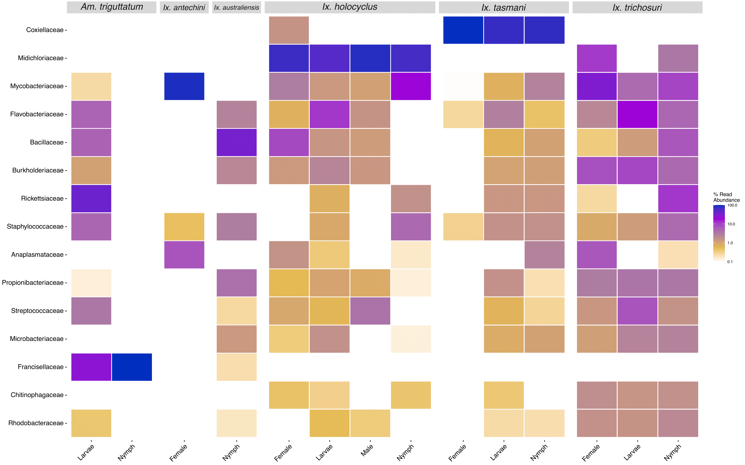 Heatmap of the top 15 most prevalent bacterial family taxa identified in tick samples, showing abundance in species and instar. Data first transformed to relative sequence abundance. Tick samples consisting of mixed species pools were excluded.