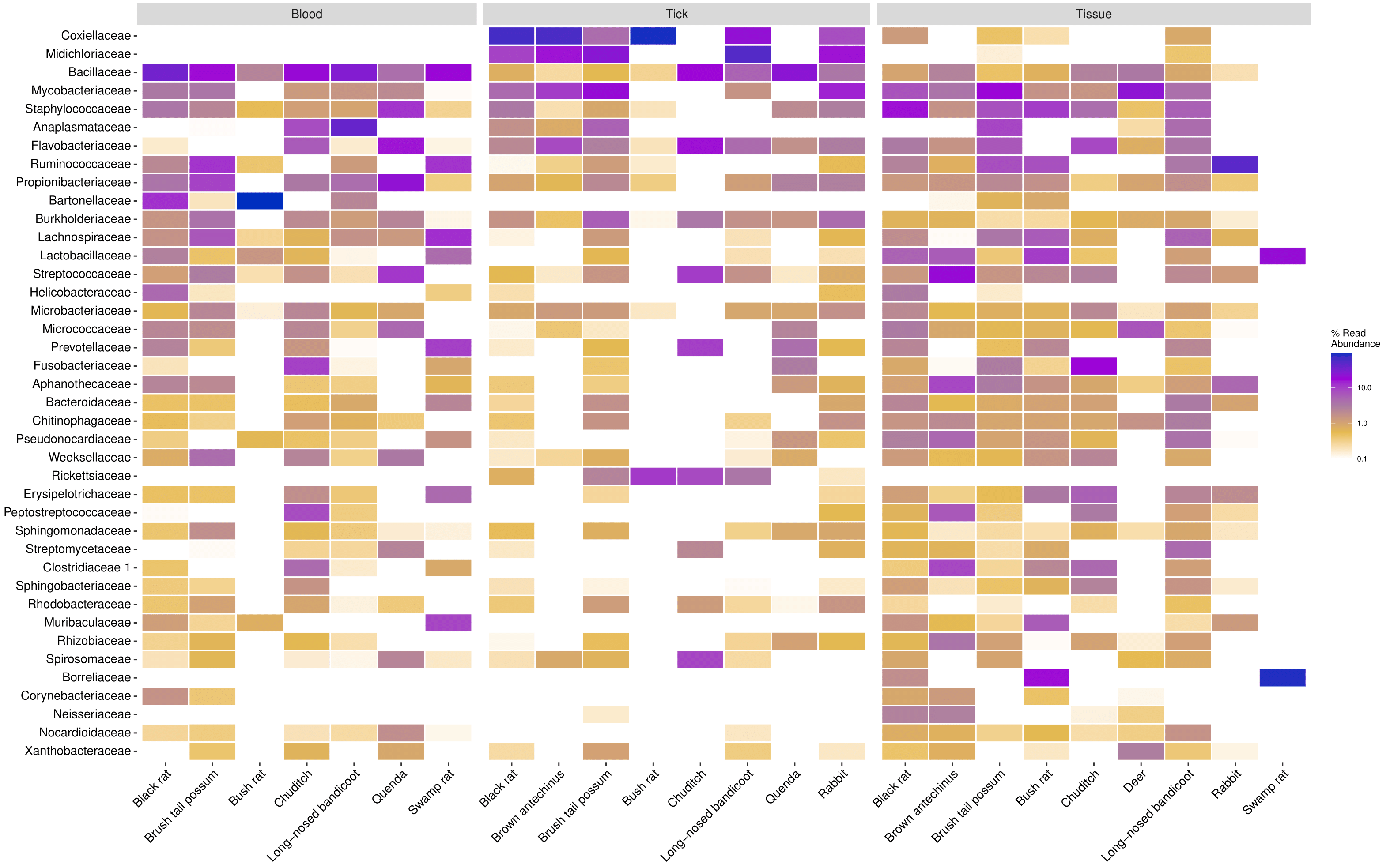 Heatmap of the top 40 most prevalent bacterial family taxa identified in wildlife blood, tick and tissue samples. Data first transformed to relative sequence abundance.