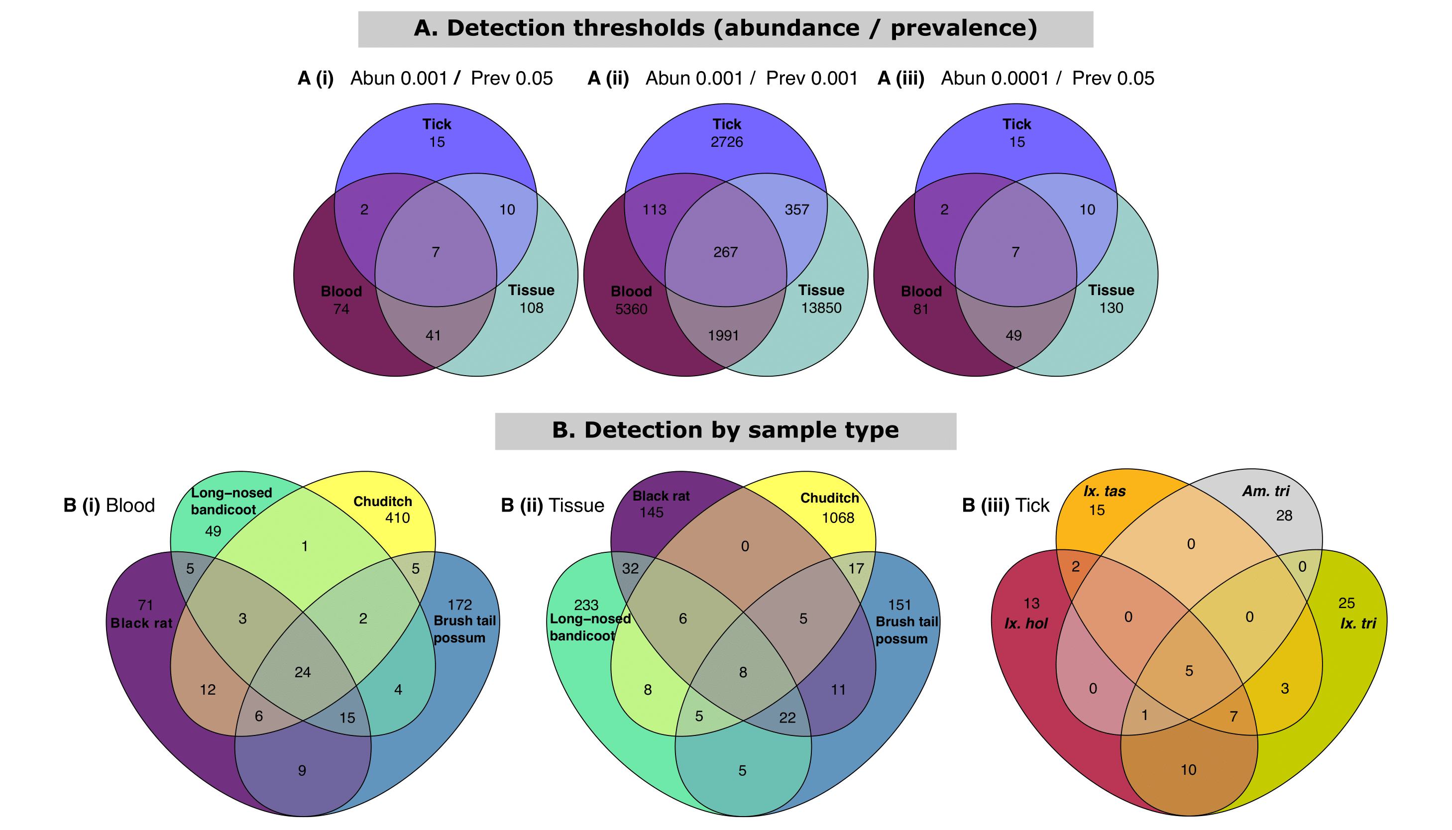 Venn diagram of core taxa present within samples presented as detection of amplicon sequence variants (ASVs) using abundance and prevalence. Data first transformed to relative abundance and ASVs assigned to best hit. (A) Impact of similarity based on detection thresholds of abundance and prevalence as (i) 0.001 and 0.05, (ii) 0.001 and 0.001, (iii) 0.0001 and 0.05. (B) Core taxa present within sample types using detection levels set at 0.001 and 0.05 for abundance and prevalence respectively for (i) blood (ii) tissue and (iii) ticks. For within sample comparison only the four most abundant vertebrate host/tick species were selected. Tick species abbreviations: \textit{Amblyomma triguttatum} (\textit{Am. tri}), \textit{Ixodes holocyclus} (\textit{Ix. hol}), \textit{Ixodes tasmani} (\textit{Ix. tas}), \textit{Ixodes trichosuri} (\textit{Ix. tri}). Tick samples consisting of mixed species pools were excluded.