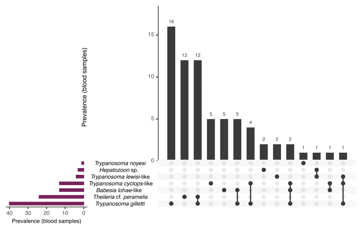 Prevalence of haemoprotozoans identified from wildlife blood samples presented as number infected of individuals. Data are visualised using UpSet plot showing set intersections of \textit{Trypanosoma}, \textit{Theileria}, \textit{Babesia} and \textit{Hepatozoon} species identified. Total number of individuals sampled: \textit{n} = 134.